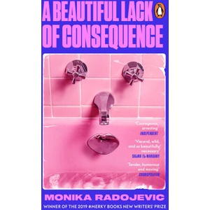 A Beautiful Lack of Consequence (ISBN: 9781529918724)