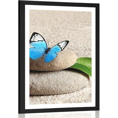 Plakát s paspartou modrý motýl na Zen kameni - 40x60 black