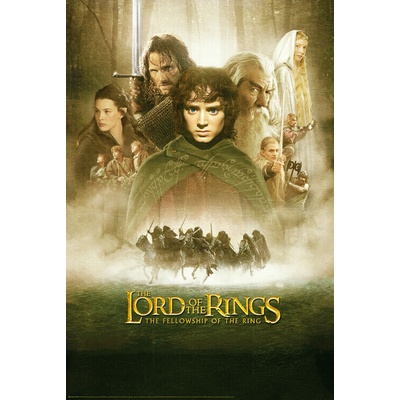 Plagát, Obraz - Lord of the Rings - The Fellowship of the Ring, 61 × 91.5 cm