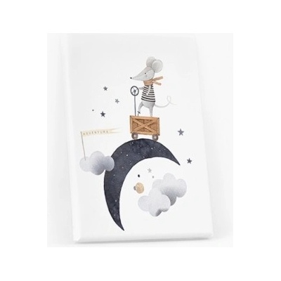 Obrazy, Night: Mouse, 20x30 cm - 76796