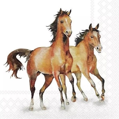 Ubrousek 33x33cm Koníci – Zboží Mobilmania