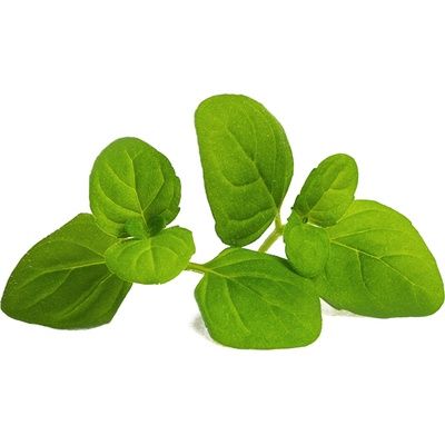 Veritable Вложка за семена Lingot основни билки ледена мента (VLIN-A10-Men04B)