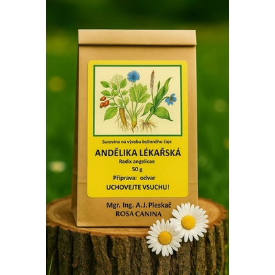 Rosa Canina Andělika lékařská kořen 50 g