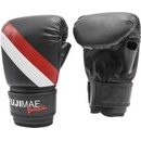 Fujimae Basic