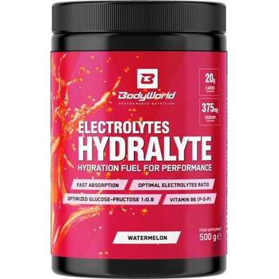 BodyWorld Electrolytes Hydralyte 500 g