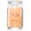 Yankee Candle Mango Ice Cream ароматна свещ Signature 567 гр