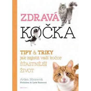 Zdravá kočka