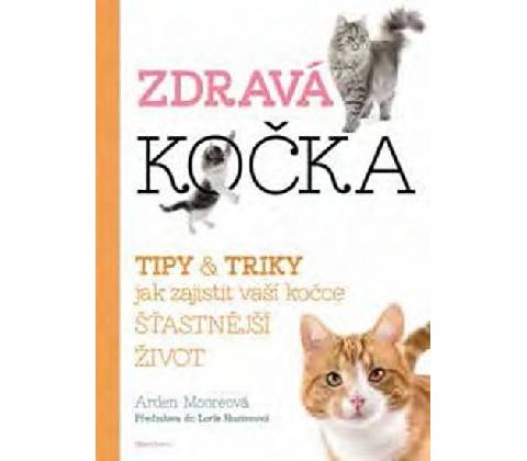 Zdravá kočka