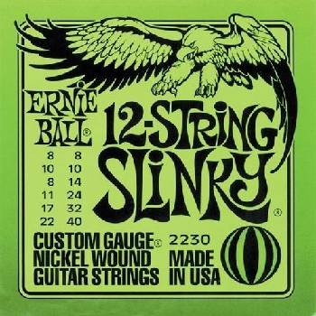 Ernie Ball P02230