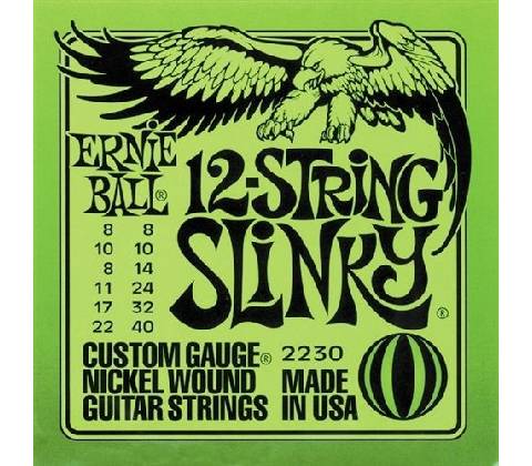 Ernie Ball P02230