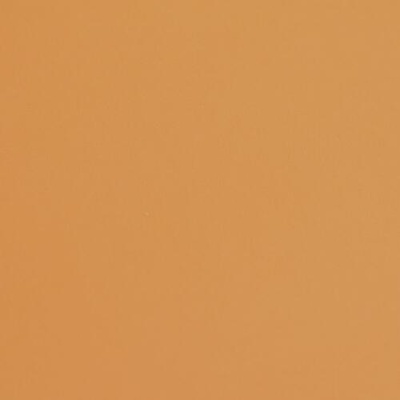 Fabriano Картон Colore, 70 x 100 cm, 200 g/m2, № 223, светлокафяв (42303223/100_AVANA)