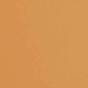 Fabriano Картон Colore, 70 x 100 cm, 200 g/m2, № 223, светлокафяв (42303223/100_AVANA)