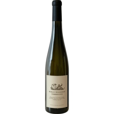 El Enemigo Gran Enemigo Torrontes 2020 Bílé 12,5% 0,75 l (holá láhev)