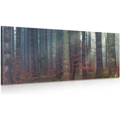 Obraz tajemství lesa - 120x60