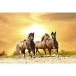 DIMEX ART Флизелинов фототапет коне при залез слънце 375 x 250 см