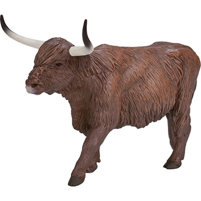 Animal Planet Škótská náhorná krava