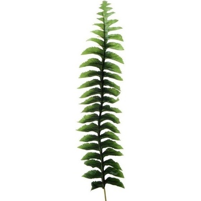Papraď list - dl. 38 cm