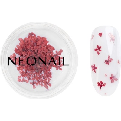 NeoNail Dried Flowers sušený kvet na nechty odtieň 08 Red 1 ks