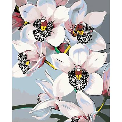 ZUTY Malování podle čísel NÁDHERNÉ ORCHIDEJE 80 x 100 cm vypnuté plátno na rám