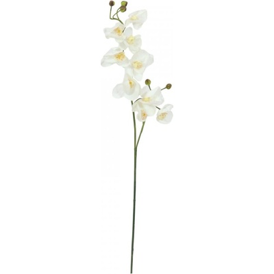 Orchidej větvička krémově-bílá, 100 cm