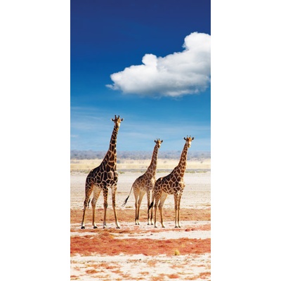 Dimex S-175 vliesová fototapeta na zeď Tři žirafy rozměry 110 x 220 cm