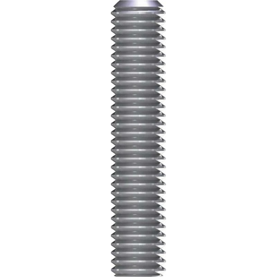 Reisser 2955 závitová tyč M12 100 mm nerezová ocel A2 1 ks