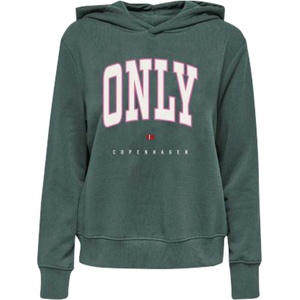 ONLY Суитшърт onllaura l/s hoodie cs swt (153379664647817)
