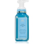 Bath & Body Works Crisp Morning Air течен сапун за ръце 259ml