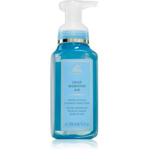 Bath & Body Works Crisp Morning Air течен сапун за ръце 259ml