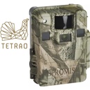 Tetrao S68