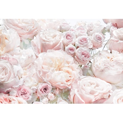 Komar Papírová fototapeta Spring Roses rozměry 368 x 254 cm