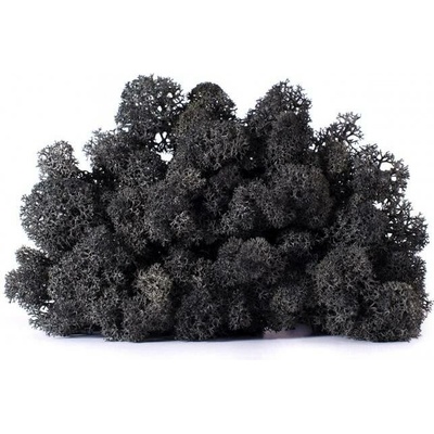 Stabilizovaný LIŠEJNÍK (sobí mech) Canopy | ČERNÝ | 100 g