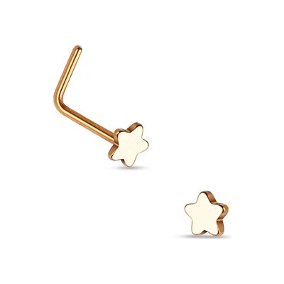 Šperky4U zlacený piercing do nosu hvězda N01155-RD