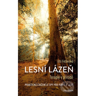 Lesní lázeň Terapie v přírodě