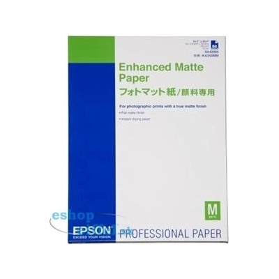 Epson C13S042095