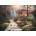 Grafika Art Puzzle - Puzzle Chuck Pinson - Sierra River Falls - 500 piese