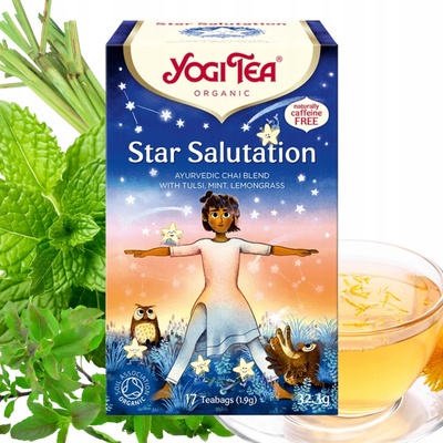 Yogi Tea Bio Pozdrav hvězdám 17 x 1,9 g