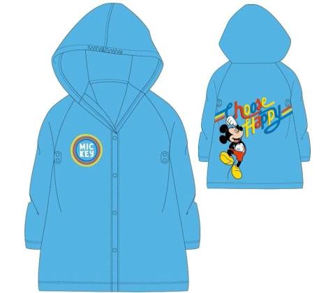 E plus M Mickey Mouse