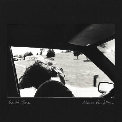 Sharon Van Etten - Are We There (Anniversary Edition) (Grey / Silver Coloured) (LP) (0674012926445)