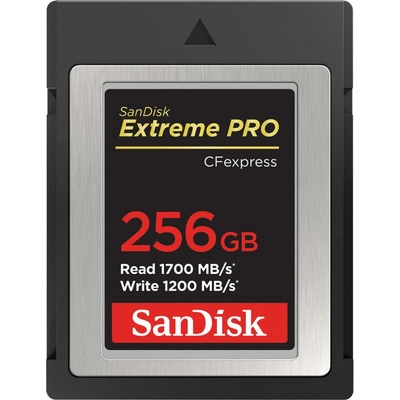 SanDisk SDC 256G SDCFE-256G-GN4NN