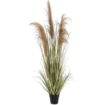 Bizzotto Растение Austorderia Pampas с ваза, височина 145 см (0173022)