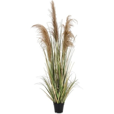 Bizzotto Растение Austorderia Pampas с ваза, височина 145 см (0173022)