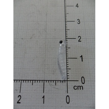 Carp ´R´ Us Červ MouthSnagger Shorty Color Čirá 8ks