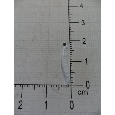 Carp ´R´ Us Červ MouthSnagger Shorty Color Čirá 8ks