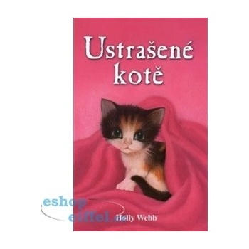 Ustrašené kotě