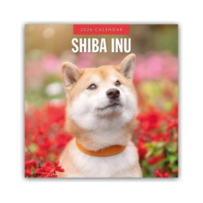 Browntrout Verlags GmbH Shiba Inu 2026 - 16-Monatskalender | Red Robin