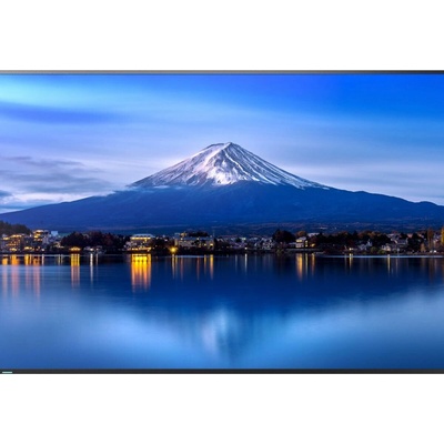 Sharp MultiSync P556
