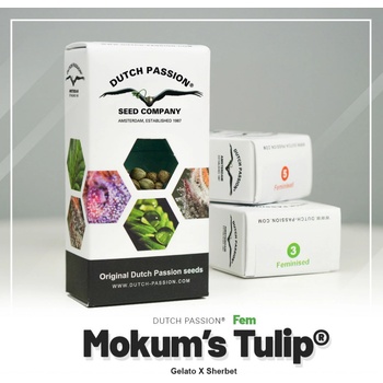 Dutch Passion Mokum’s Tulip semena neobsahují THC 10 ks