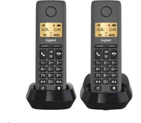 GIGASET Basic 100 Duo