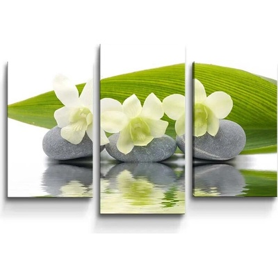 Sablio Obraz - 3-dílný Bílá orchidej - 75x50 cm